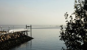Peaceful coastal view of a rocky pier extending into calm waters at dawn.