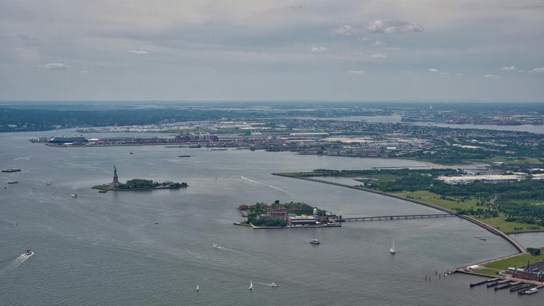 Aerial view of the iconic Statue of Liberty and expansive New York Harbor on a clear day.