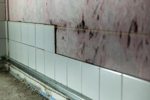 Selling a House with Mold in Long Island: Disclosure Rules and Your Best Options
